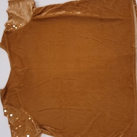 Roaman's Velour Sparking Pailette Short Sleeve Evening Top Gold 2X - Picture 7 of 11